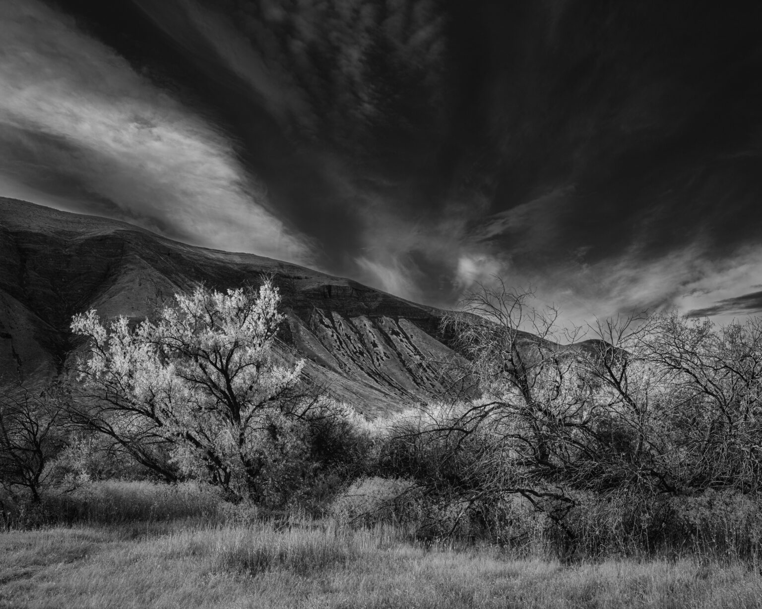 Zeitlose Ruhe, Lower Crab Creek Coulee, Washington, 2024  [OC] [1200x600]