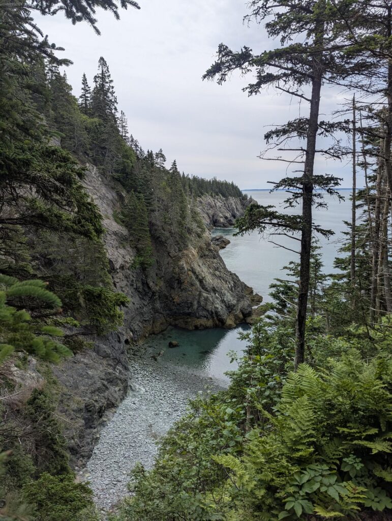 Raue Schönheit an Maine's Coast