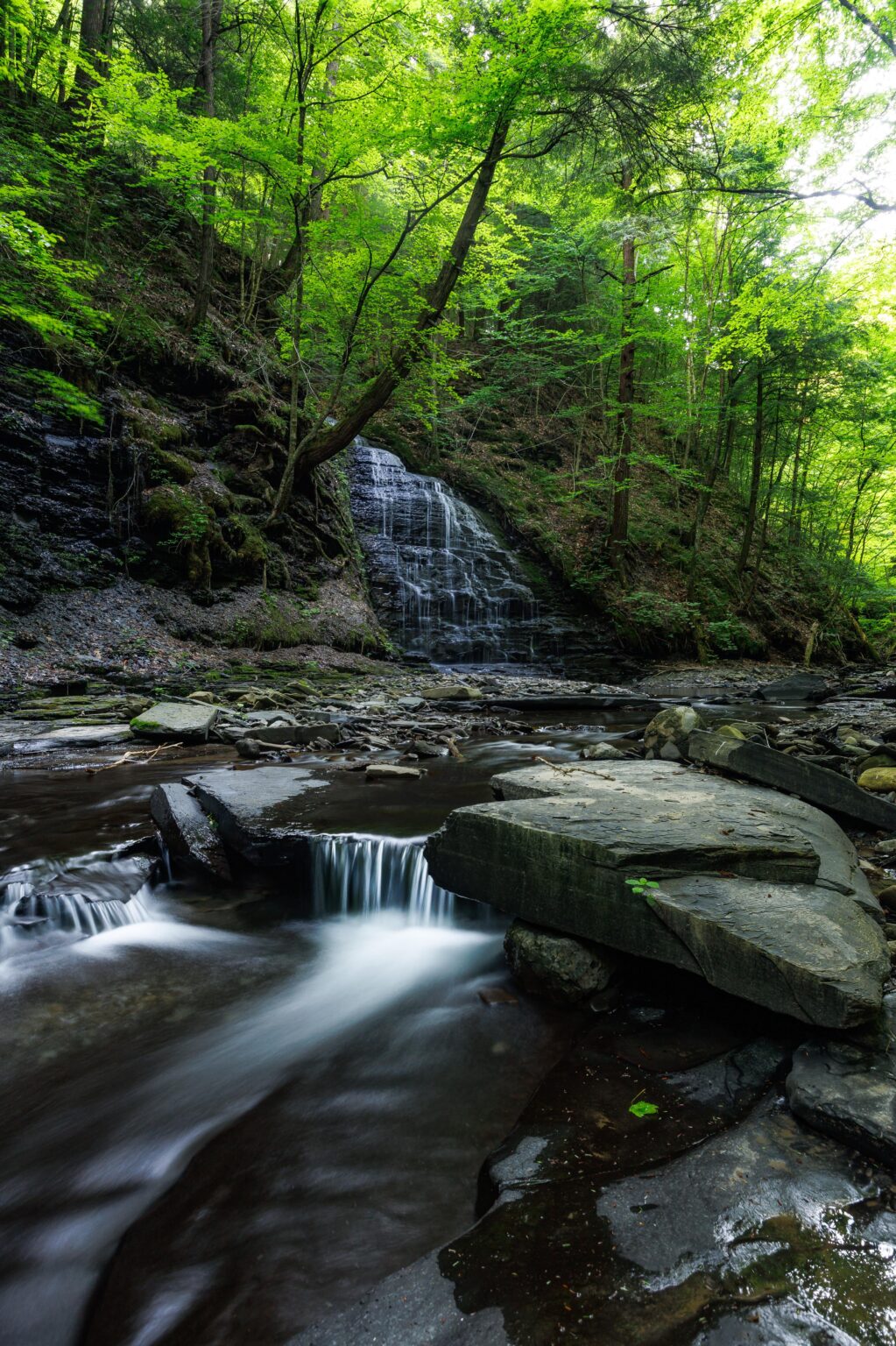 Sommerstimmung in den Fingerseen, NY.