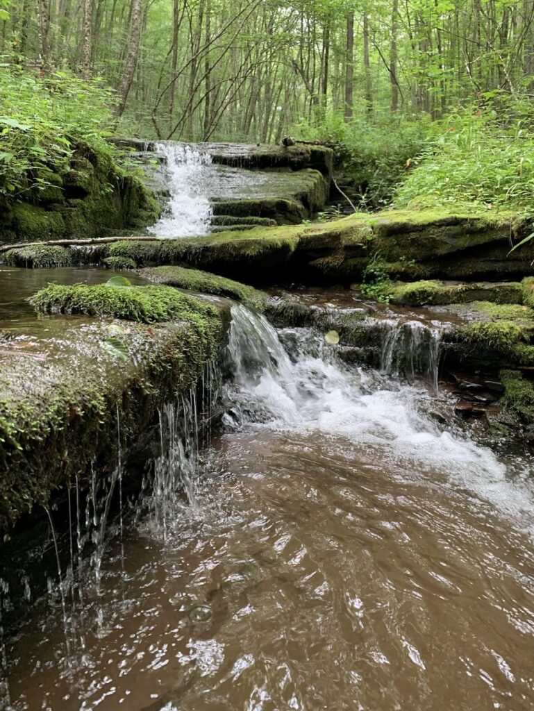 PA Mountain Bach