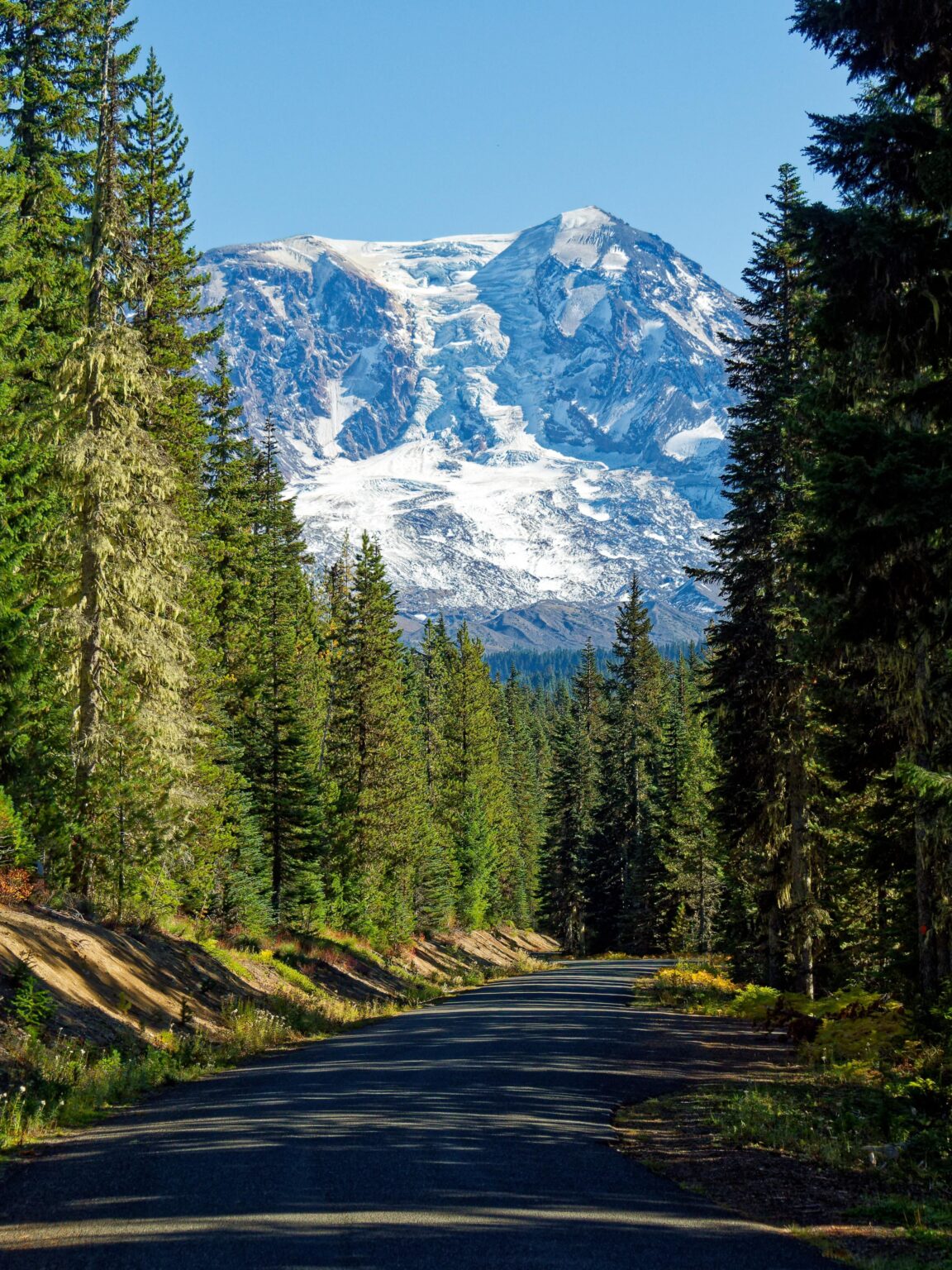 Mount Adams Blick von einer Forest Service Road in Gifford Pinchot NF