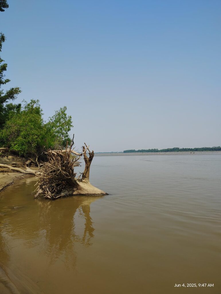 Mississippi River