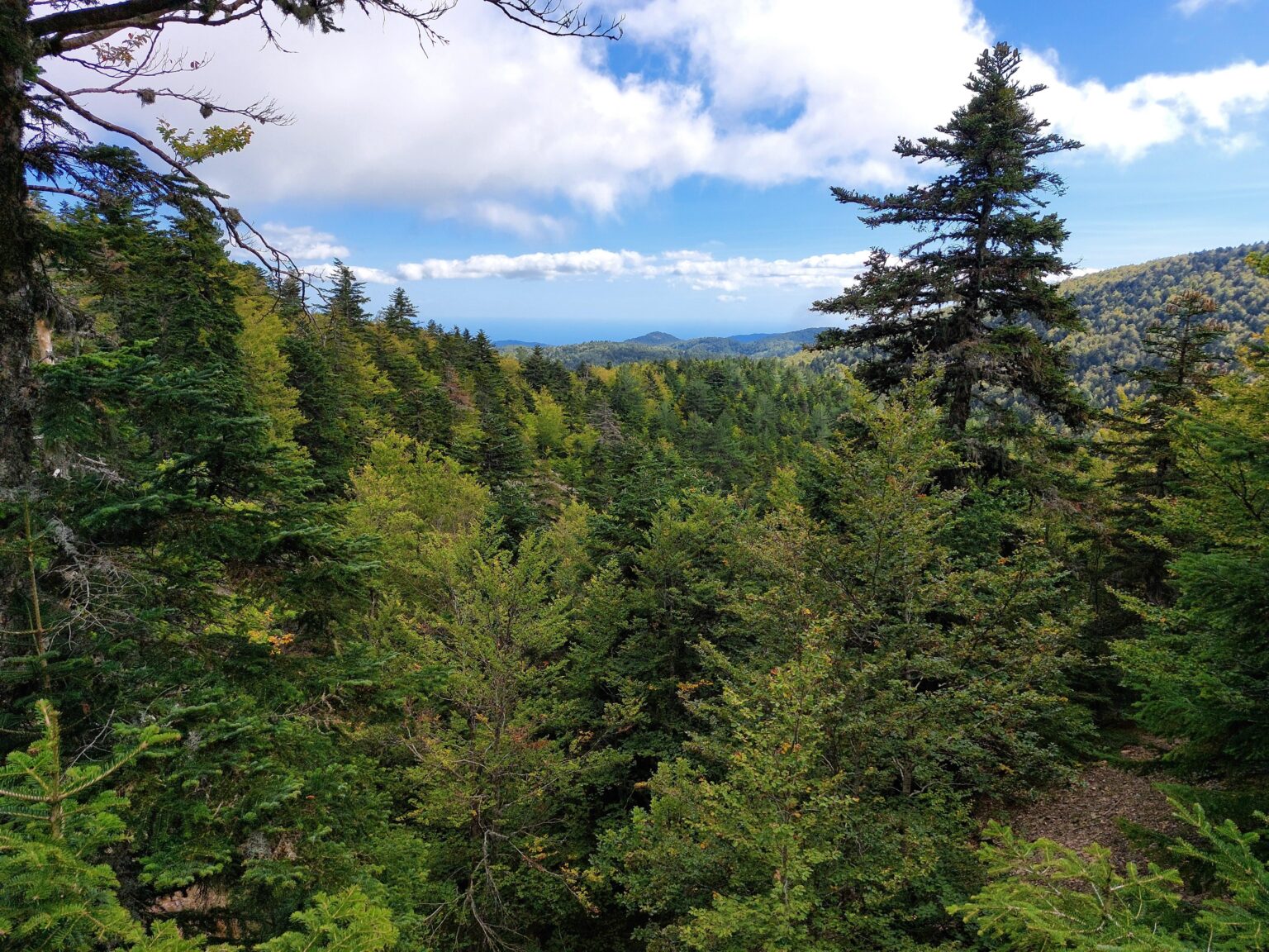 Aspromonte. ⛰️🇮🇹