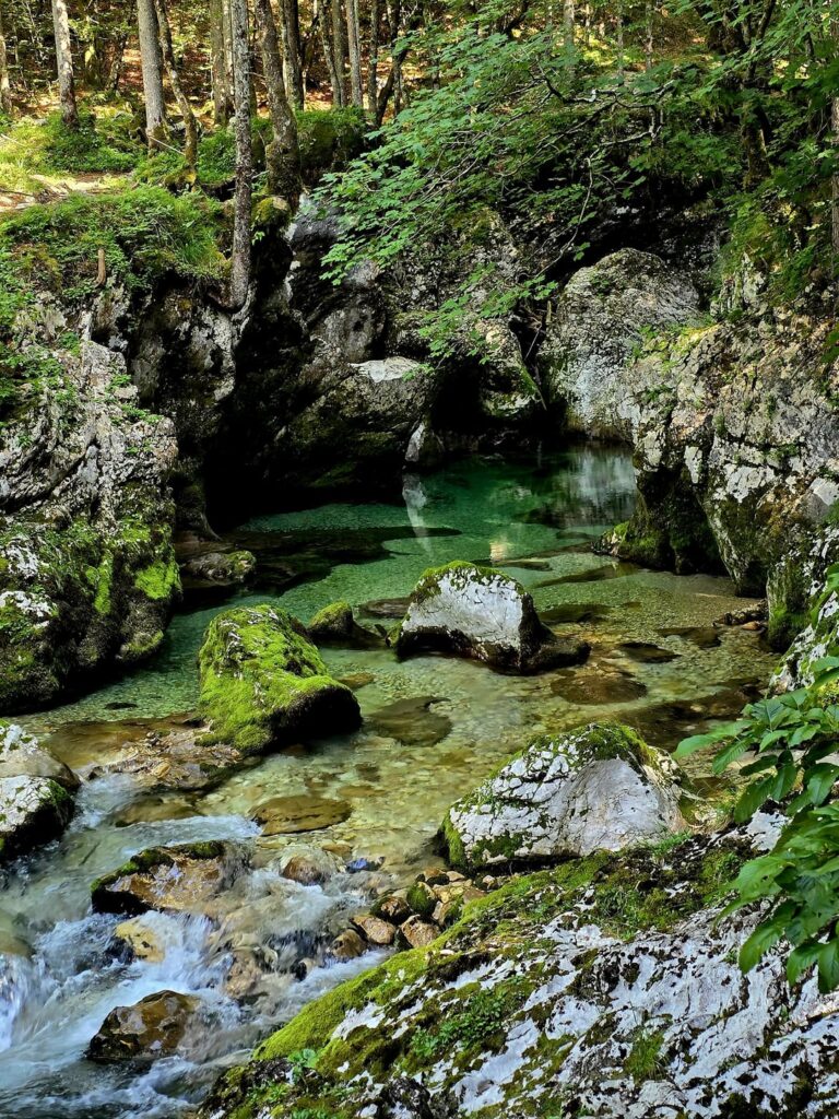 Mostnica Gorge, Slowenien[OC]