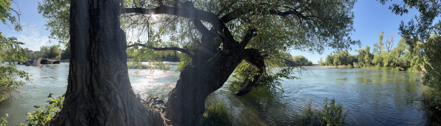 Sacramento River