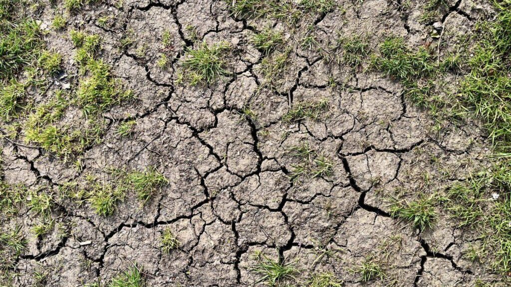 Die Gebiete mit Dürre, die als Hitzewellen von 35 ° C droht