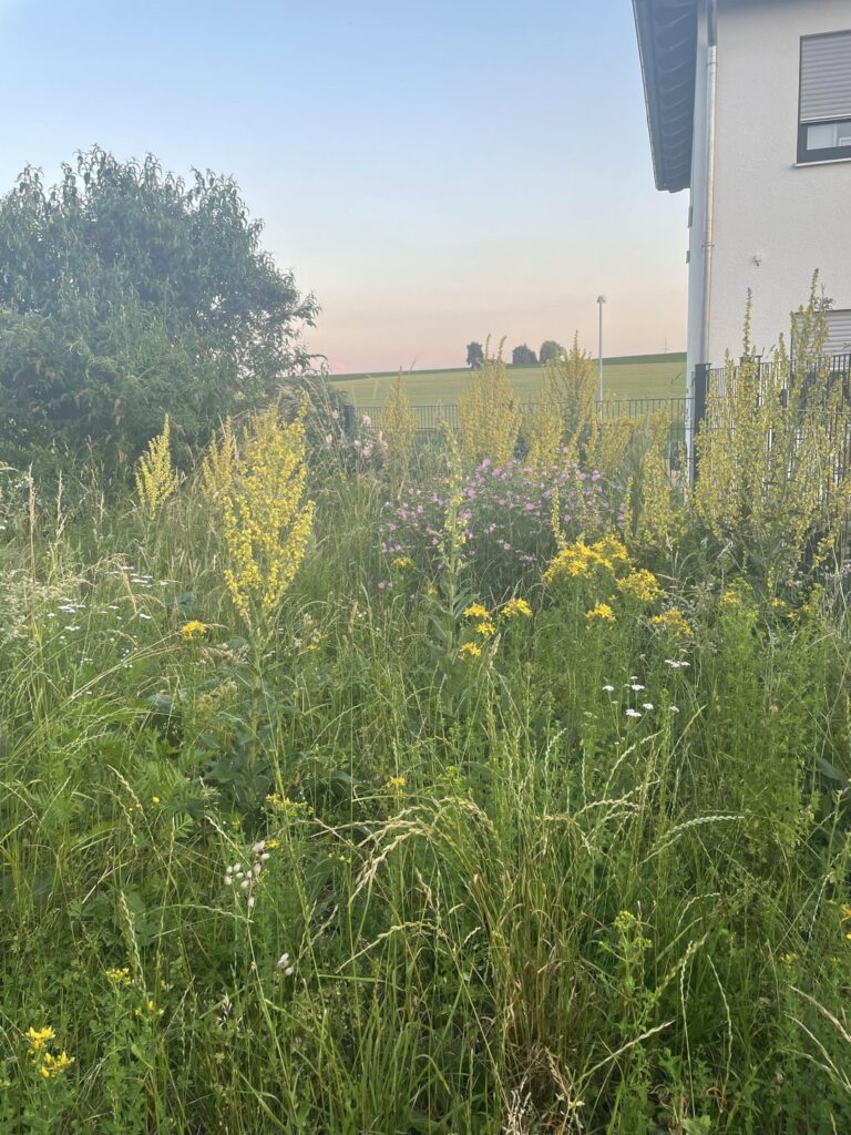 Lass die Natur einfach mal machen