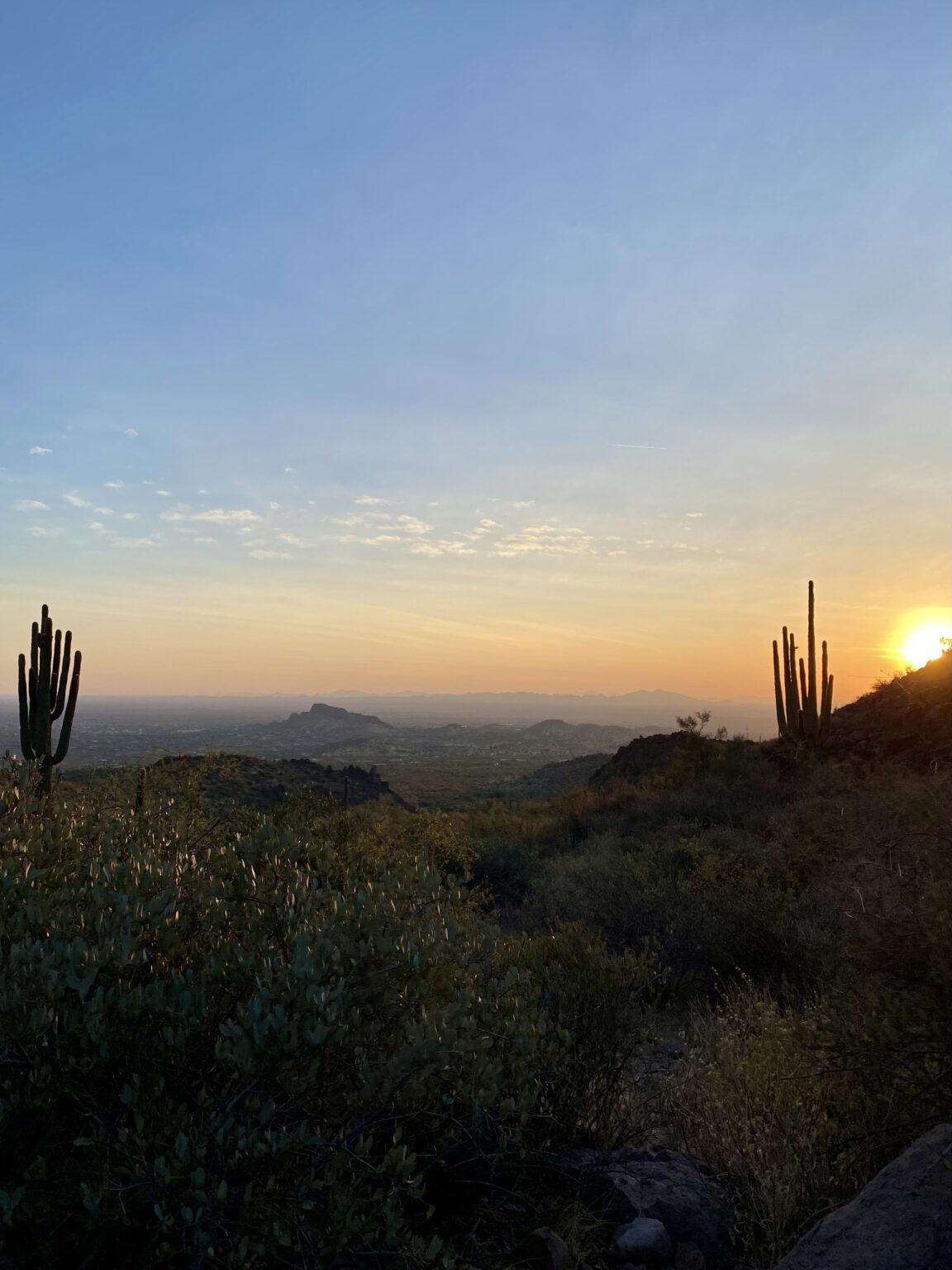 Gold Canyon, AZ
