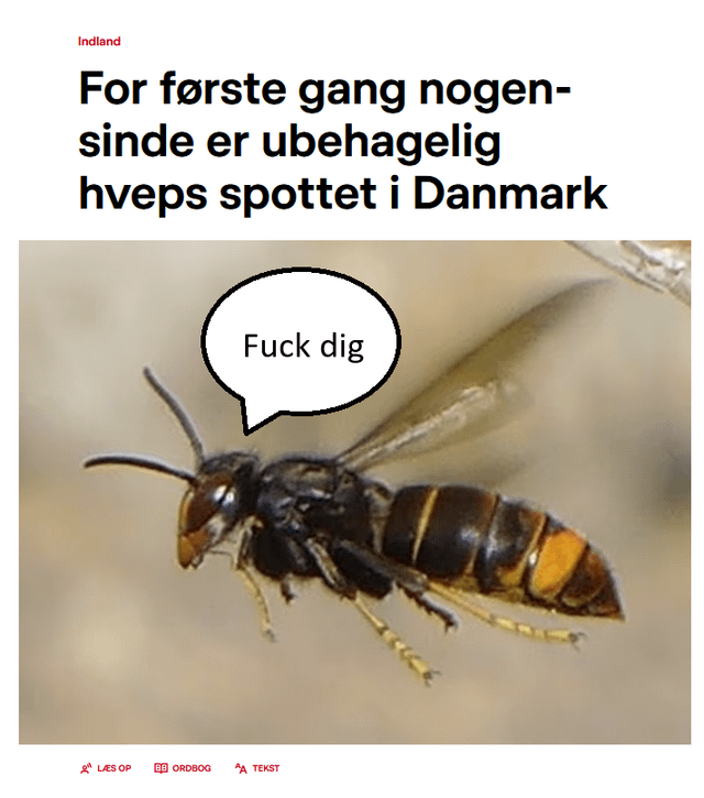 Puhha, so eine Hoffnung, die ich nicht treffe