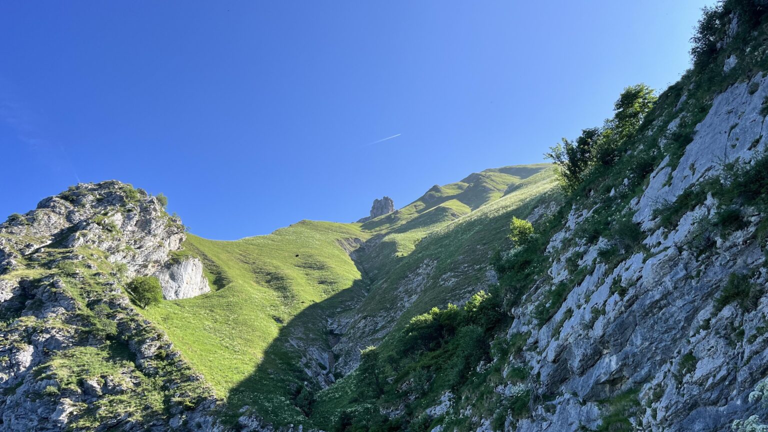 Aufsteigender Trélod, Frankreich