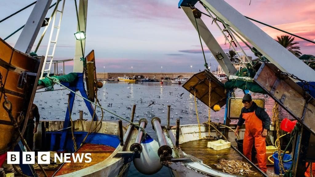 Großbritannien schlägt ein umfassenderes Verbot des destruktiven Bottoms vor