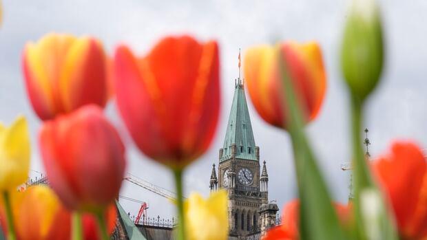 Das Parlament überging von einem kämpferischen Sturz zu einem fruchtbaren Frühling. Wird es dauern?