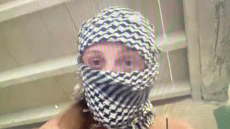 "Schäden Sie so weit wie möglich": Unterdeckung mit Palästina -Aktion