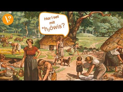 So klang Dänisch vor 6.000 Jahren