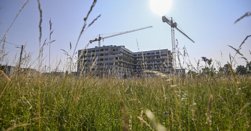 Urban Chaos, in dem Zagreb schießt: „Die Weide hat eine Nachbarschaft mit 30.000 Einwohnern gemacht. Unser Leben ist ein Albtraum! “ Urban Chaos, in dem Zagreb schießt: „Die Weide hat eine Nachbarschaft mit 30.000 Einwohnern gemacht. Unser Leben ist ein Albtraum! ''