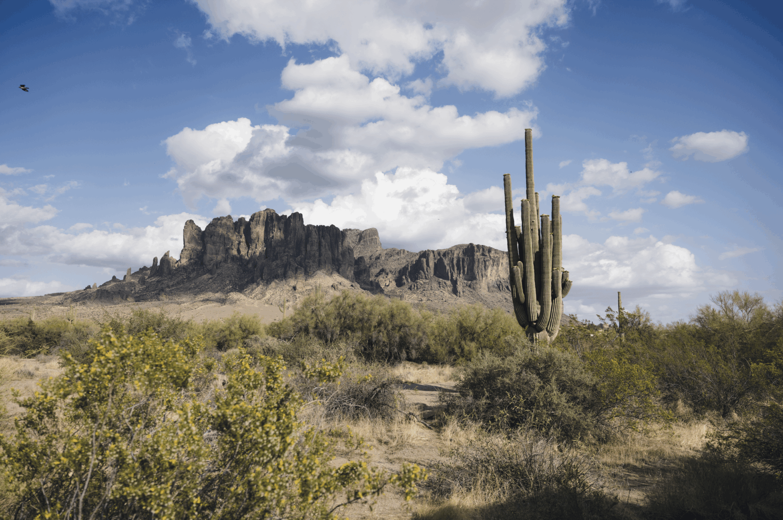 Verlorene Niederländer State Park, AZ
