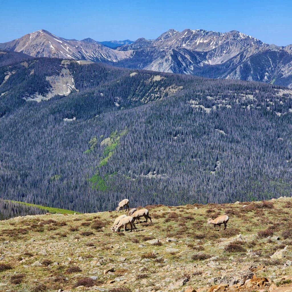 Northern New Mexico gestern