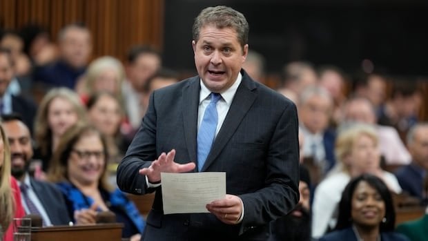 Tory Interim Leader nennt EBY als "radikal", weil er eine andere BC -Pipeline nicht unterstützt hat