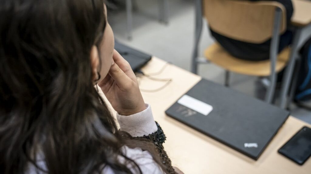 Mehr Mädchen als Jungen, die in der Grundschule Dänisch oder Mathematik abwerfen