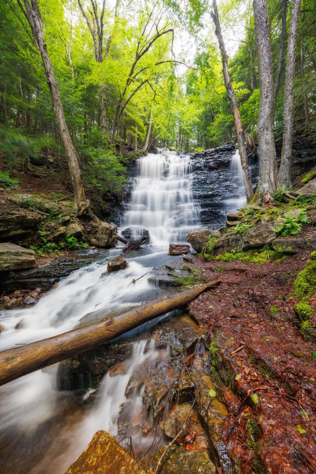 Dies ist der Ort für die nächsten Tage 🌞, Nordost -Pennsylvania.