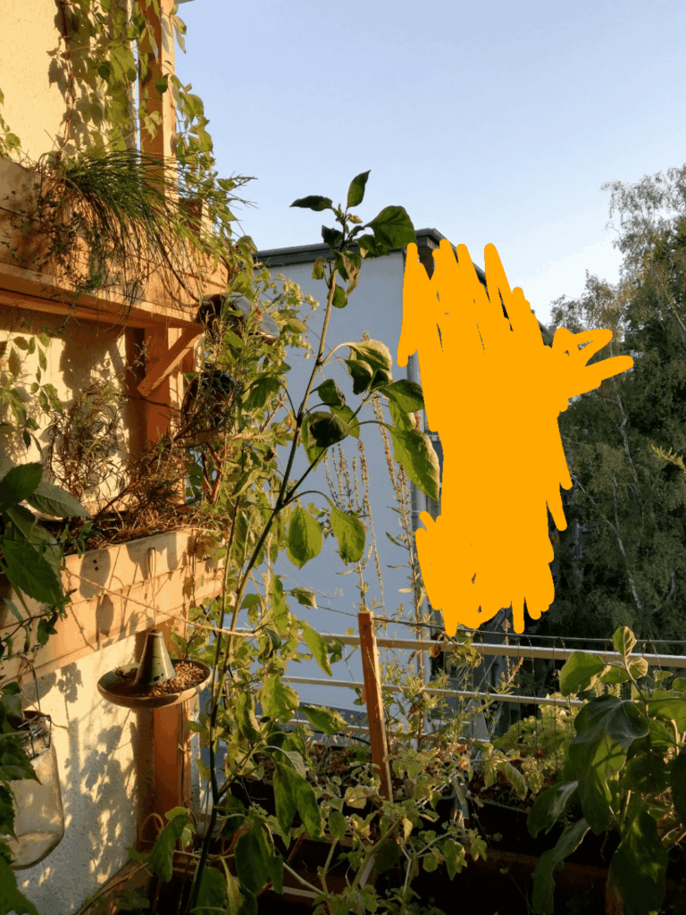 Naturnaher Balkon Naturnaher Balkon