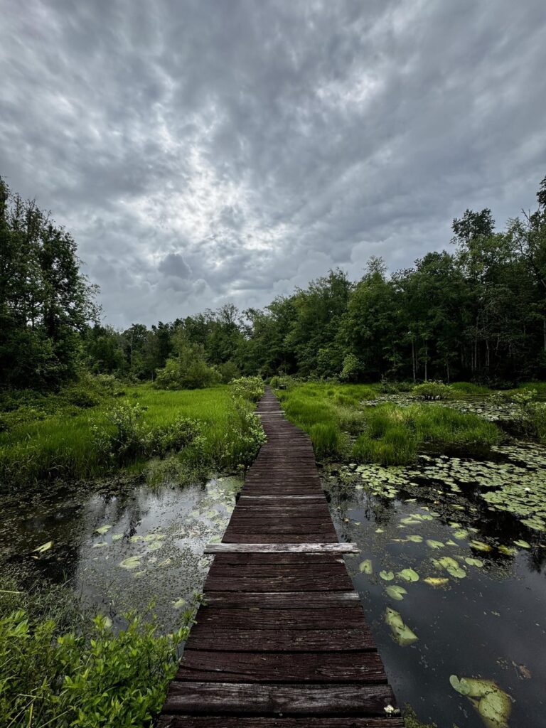 Einige wandelnde Bilder