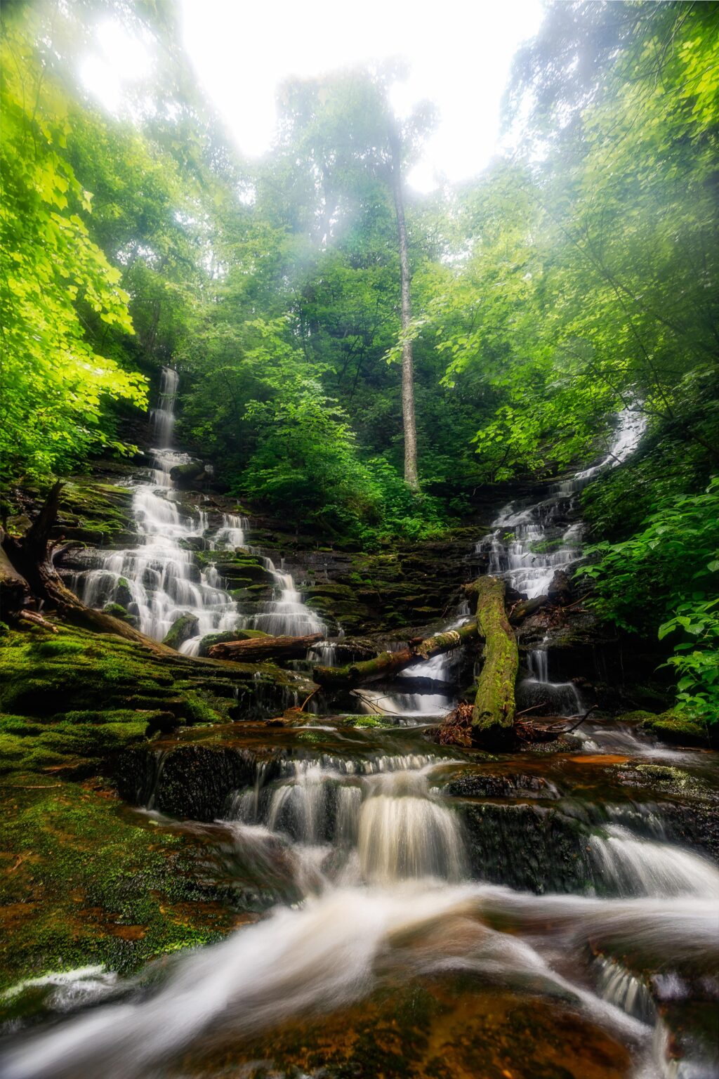 Paradies. Off Trail in der Region Mid Atlantic.