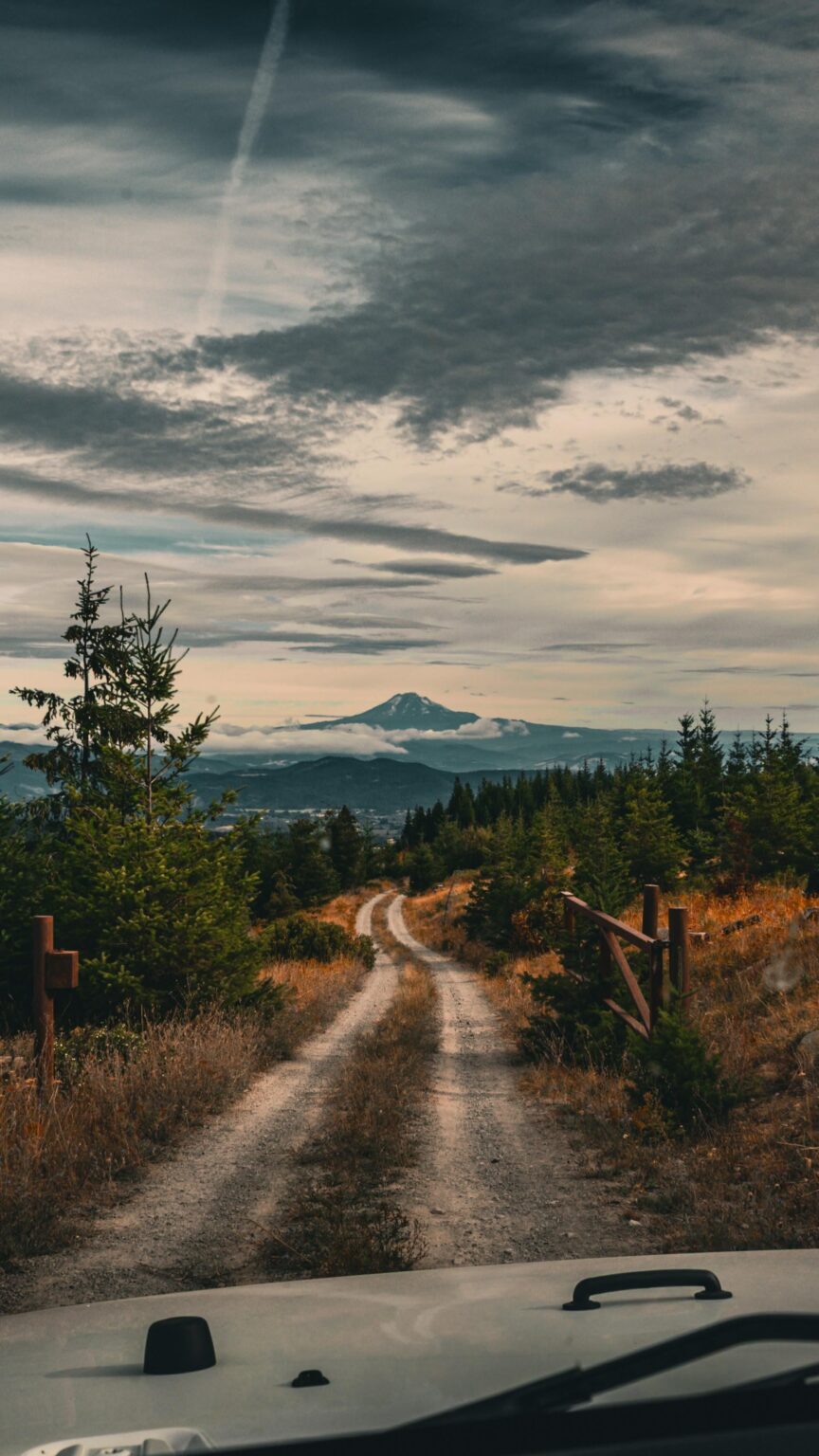 Waldstraße mit MT -Motorhaube im Hintergrund