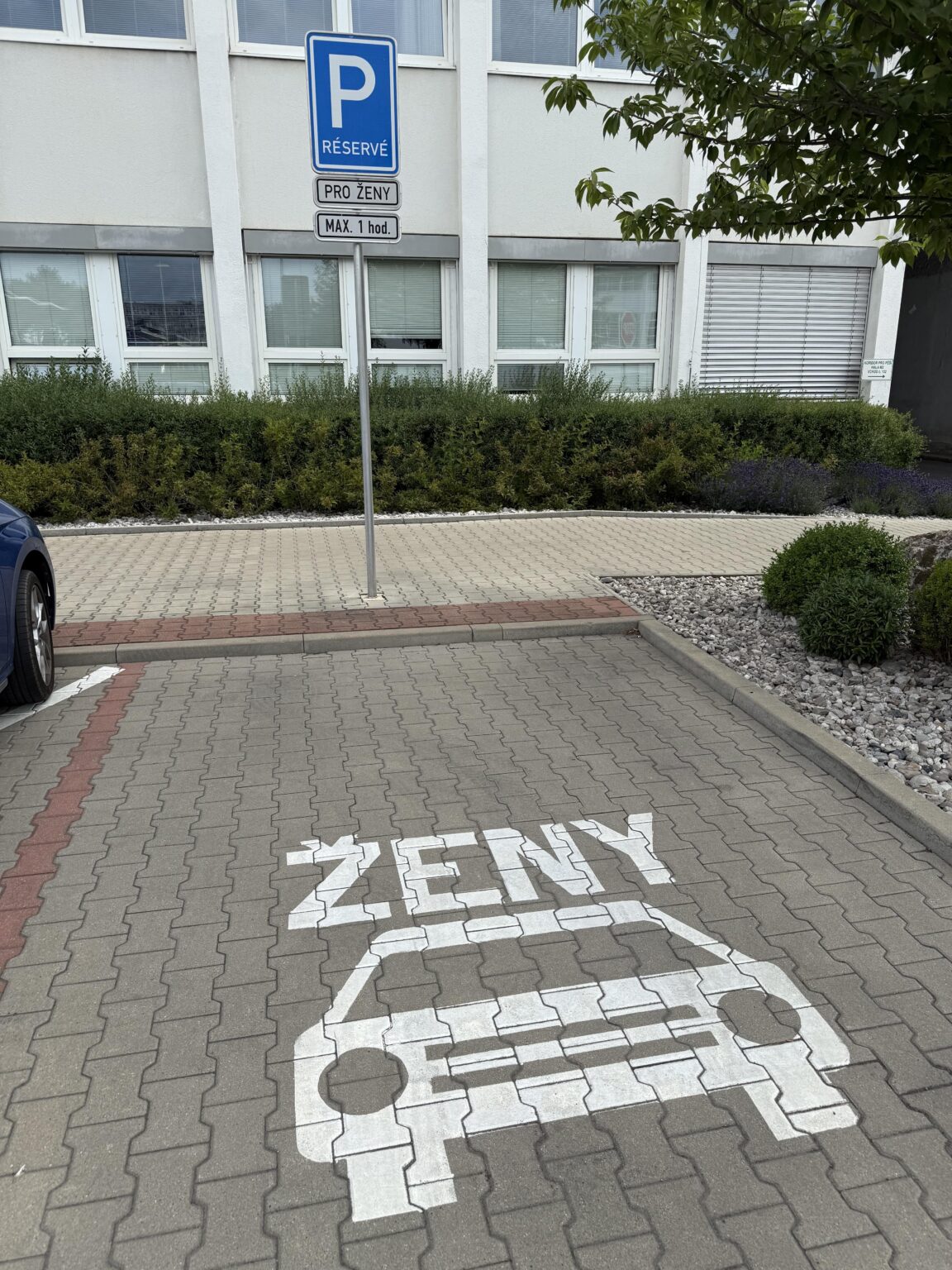 Siehe im ŠKODA Auto Race