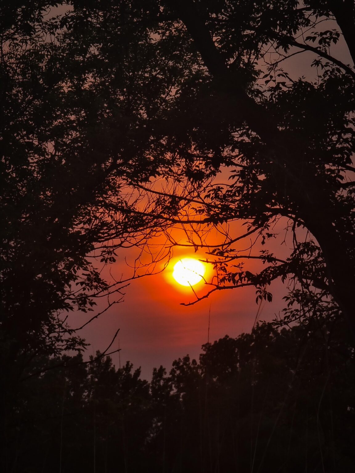 Machte während meiner Radtour ein Foto von dem Sonnenuntergang!