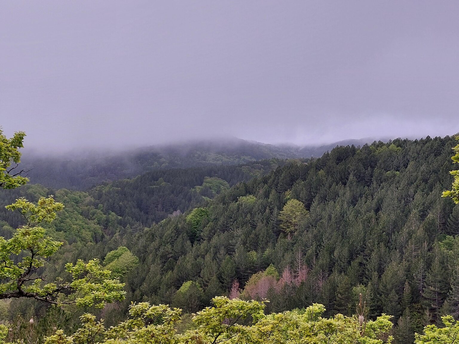 Aspromonte.