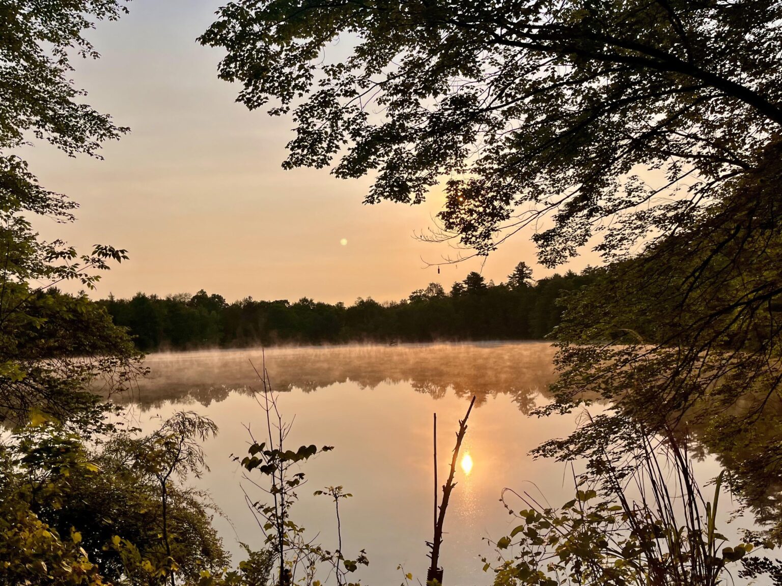 Die Art und Weise, wie der Morgennebel über dem Teich suspendiert wurde, fühlte sich noch immer wie ein Traum an.