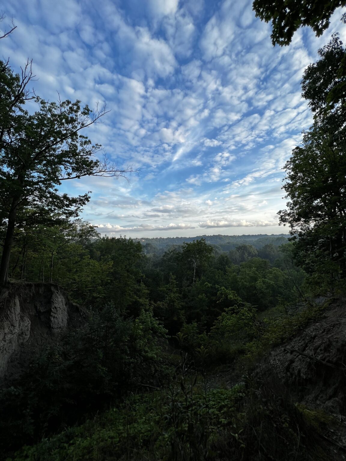 Morgenspaziergang