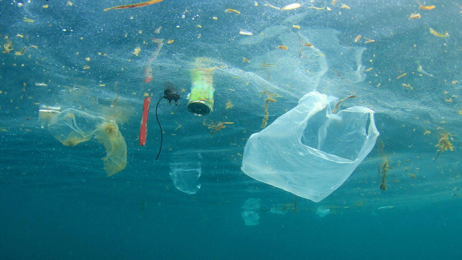 Alarmierend: In 25 Jahren im Mittelmeer könnte man plastischer sein als Fisch Alarmierend: In 25 Jahren im Mittelmeer könnte man plastischer sein als Fisch