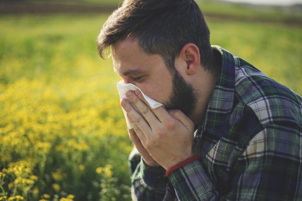 Heufever -Alarm über hohe Pollenzahl, wenn die Temperaturen in Großbritannien auf 30 ° C steigen