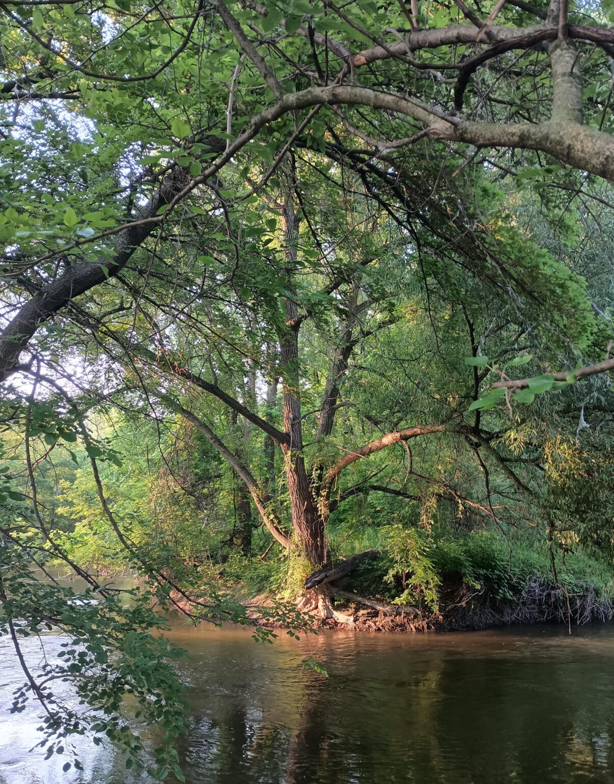 Zählen von Fluss in Sterling Heights, MI