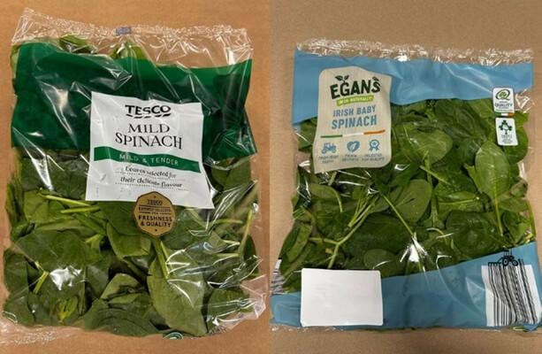 Verschiedene Markenspinat und gemischte Blätter erinnern sich aufgrund der Erkennung von Listeria