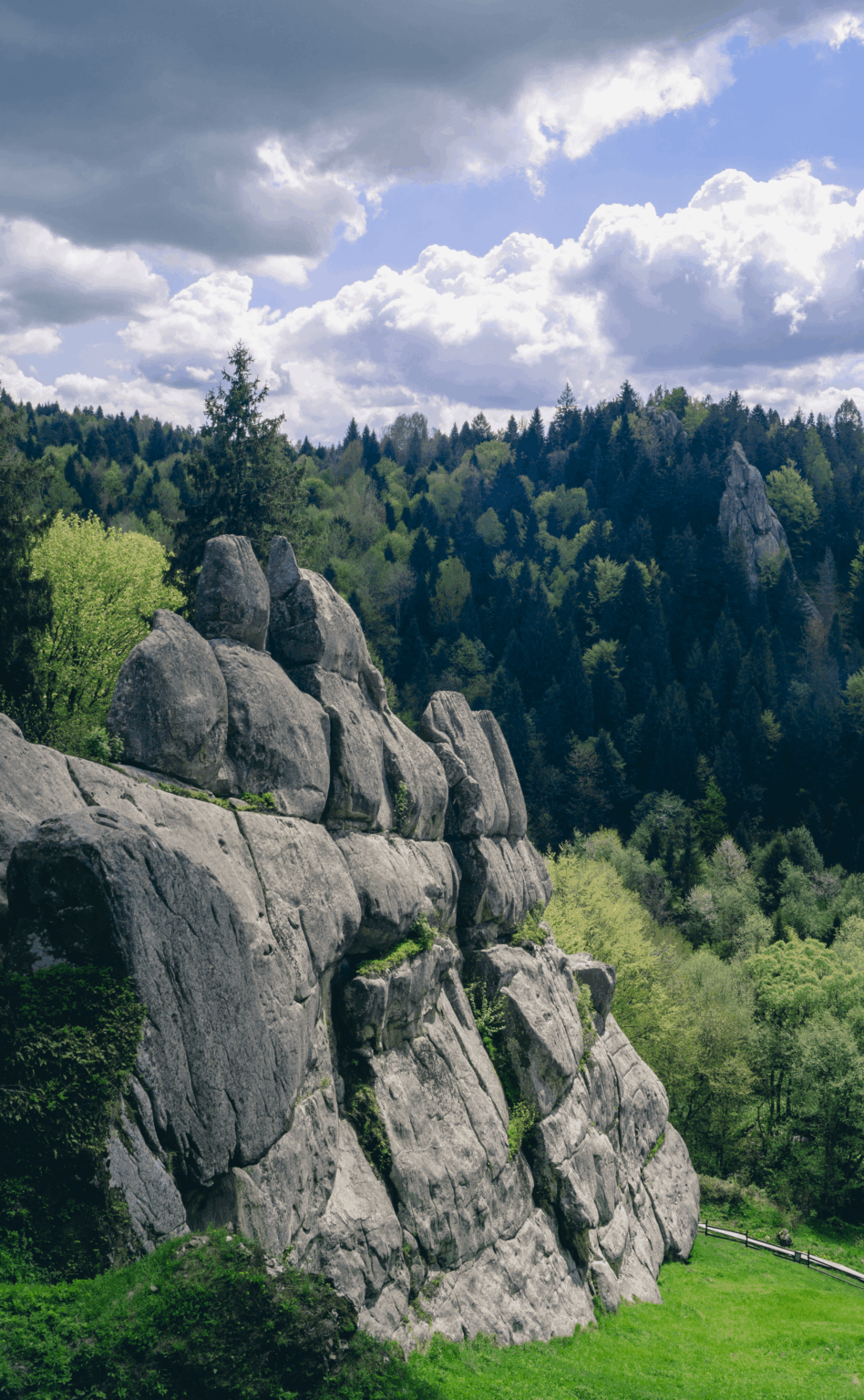 Harmonische Kombination von Felsen und Fichten