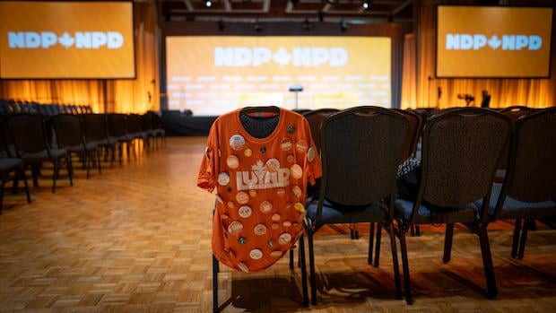 Das Führung von NDP wird neue Regeln für ausländische Einmischung haben