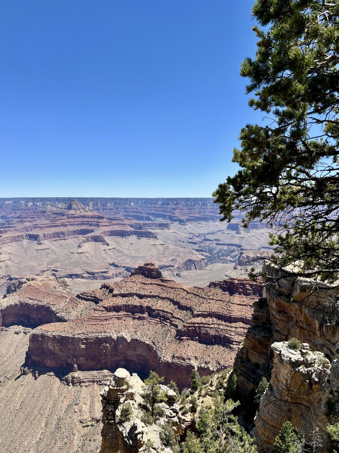 Grand Canyon, AZ