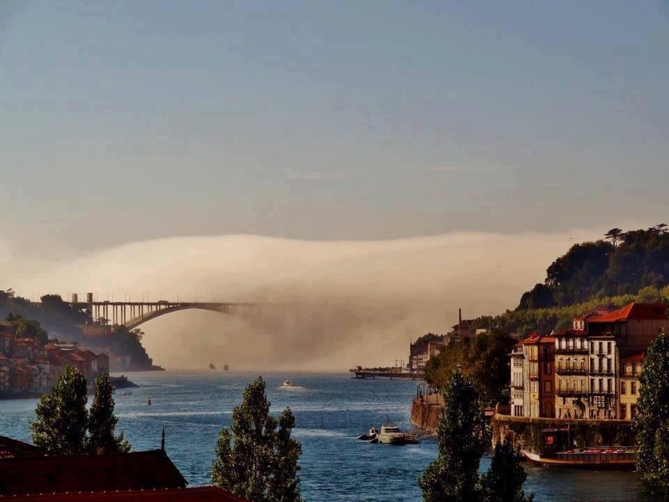 Die Arrábida -Brücke, die mit Nebel, Porto, Portugal bedeckt ist