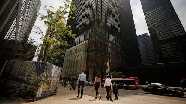 Die Mitarbeiter von Mitarbeitern über die Rückkehr zum Büro bevorzugen flexible Arbeiten, was die Umfrage vorschlägt | CBC News