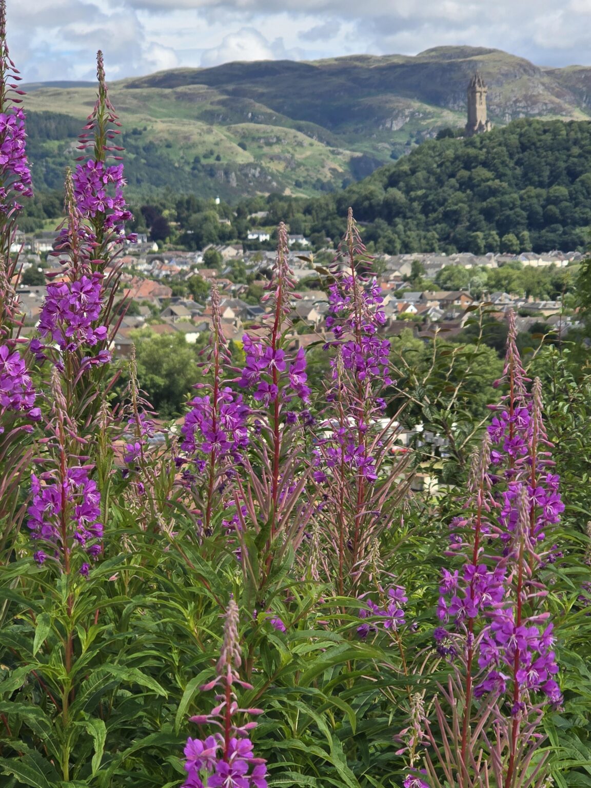 Von Mote Hill mit Blick auf Stirling, Schottland in Richtung Wallace Monument
