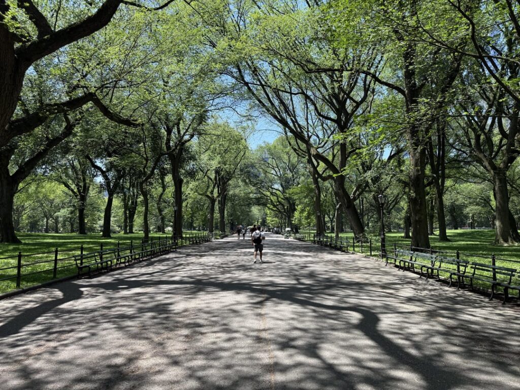 Central Park, New York