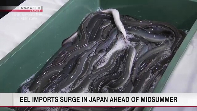 Live Aal Importe importiert den Höhepunkt am Flughafen Narita in Japan