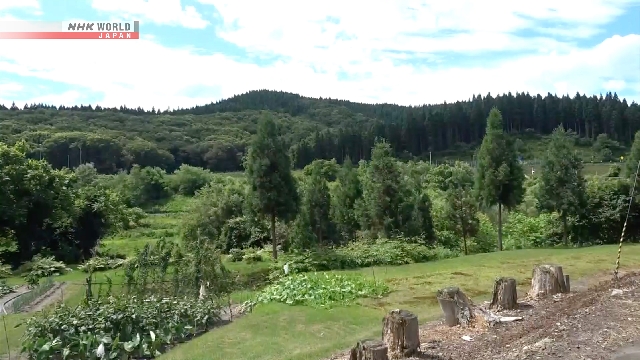 Mann, der beim letzten Wildbärenangriff in Akita verletzt wurde