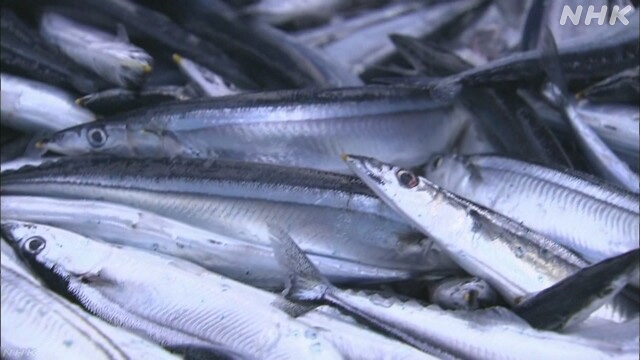 Aktien der pazifischen Saure bleiben im Japans Fischereigebiet wahrscheinlich niedrig.