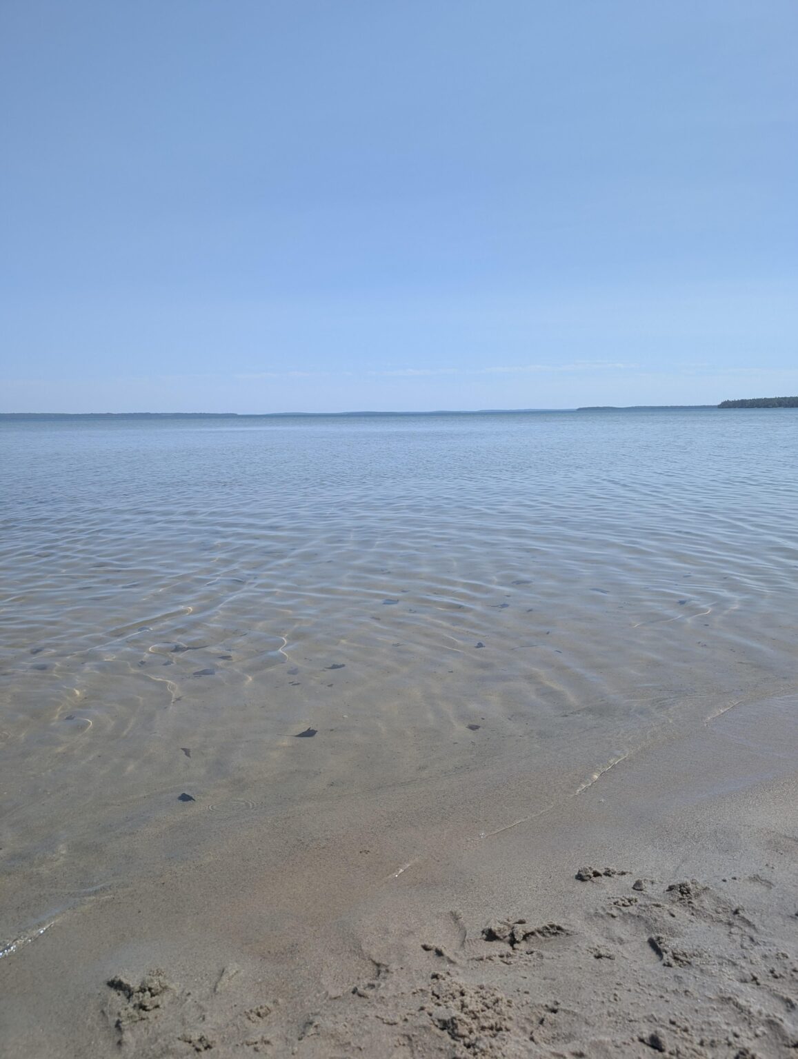 Glücklich am Wasser, besonders wenn man es durchschauen kann.