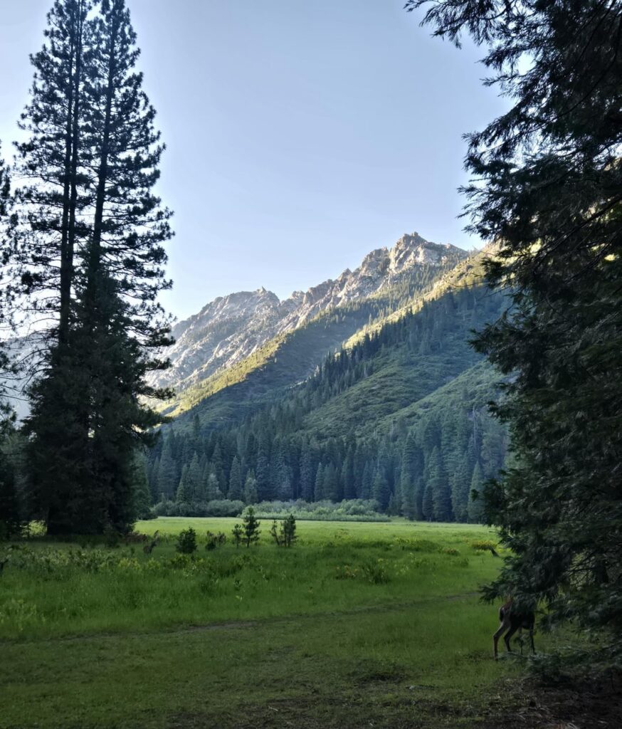 Rucksack nach Morris Meadows & Emerald Lake