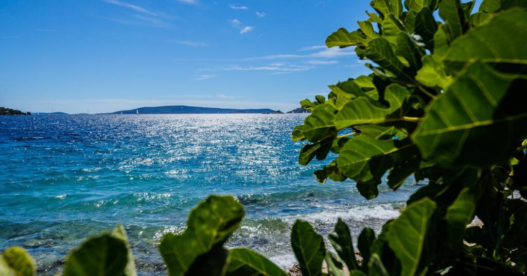 Unglaubliche Szene in Zadar: Aufgenommenes Gruppensex an einem öffentlichen Strand. „Diese Art von Verhalten nimmt zu“ Unglaubliche Szene in Zadar: Aufgenommenes Gruppensex an einem öffentlichen Strand. "Diese Art von Verhalten nimmt zu"